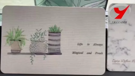 Custom Pattern Printed Diatomite Anti